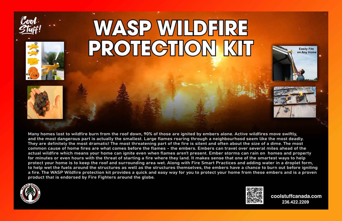 Wasp Wildfire